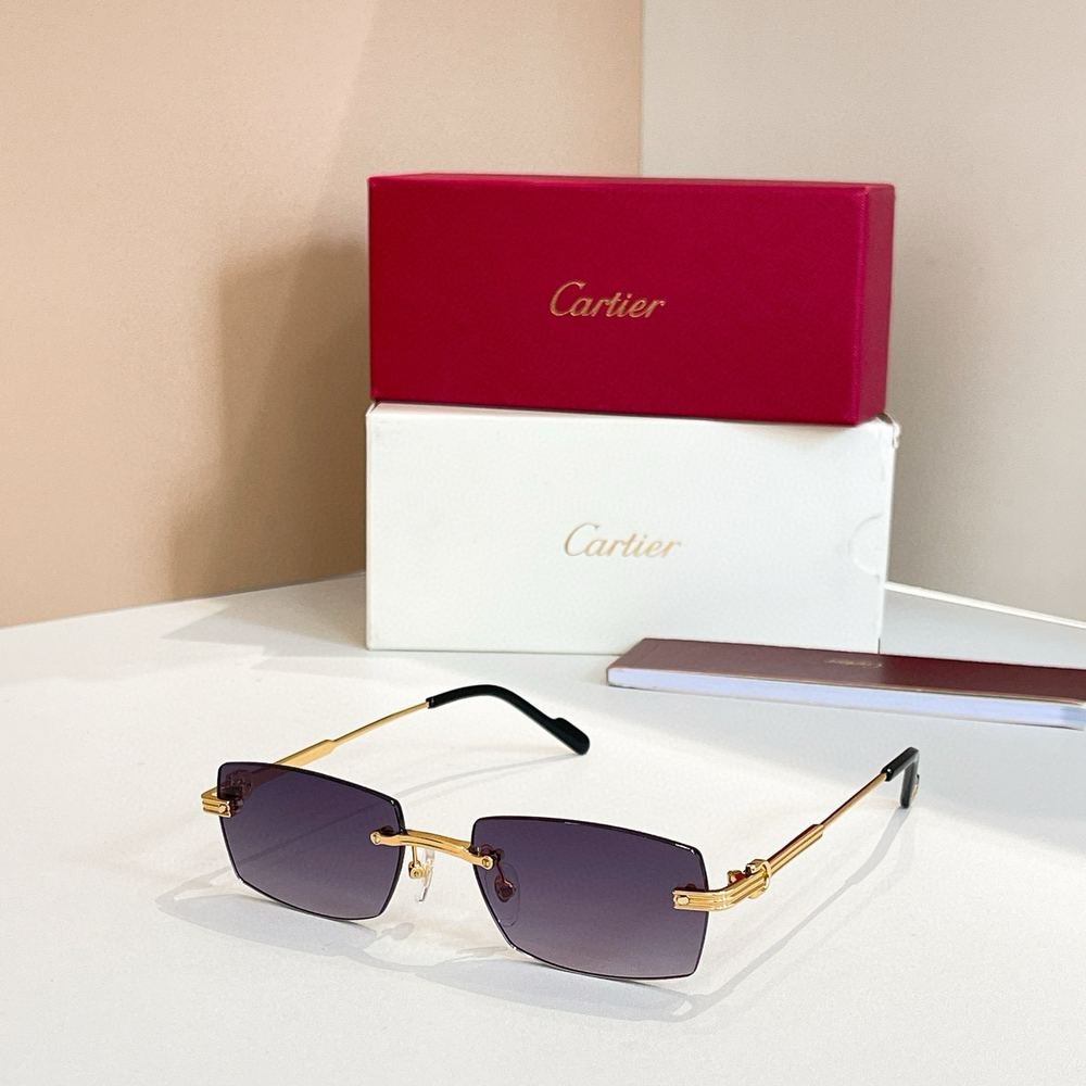 Gafas Cartier 79