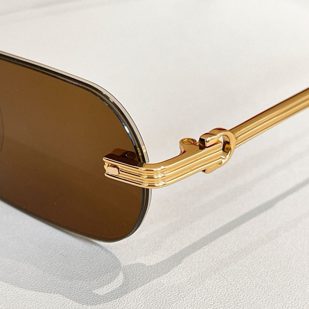 Gafas Cartier 107