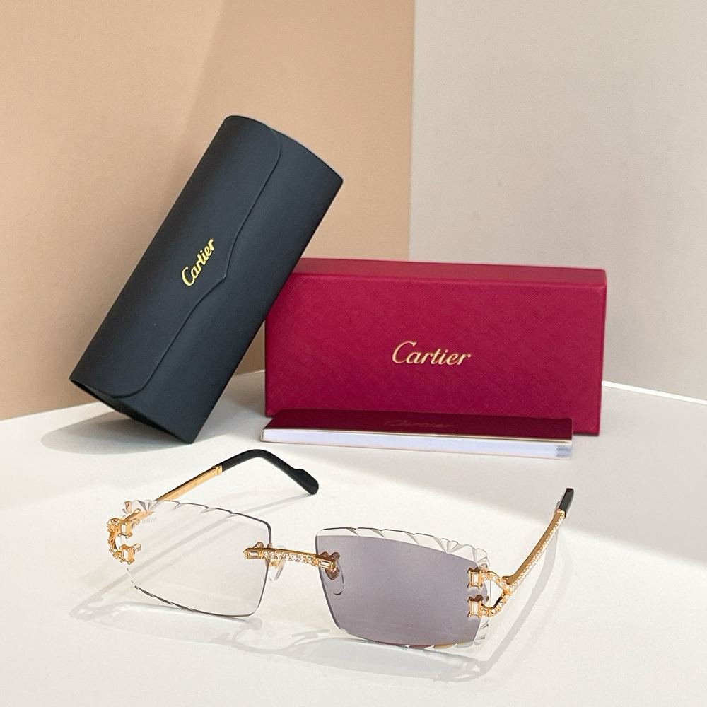 Gafas Cartier 120