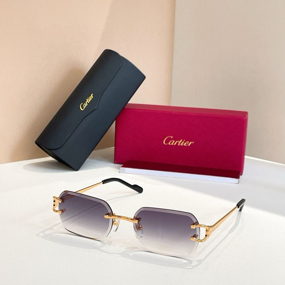 Gafas Cartier 179