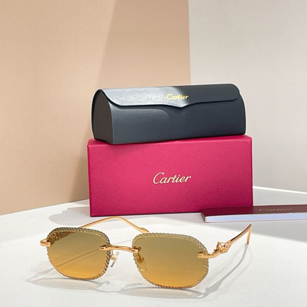 Gafas Cartier 204