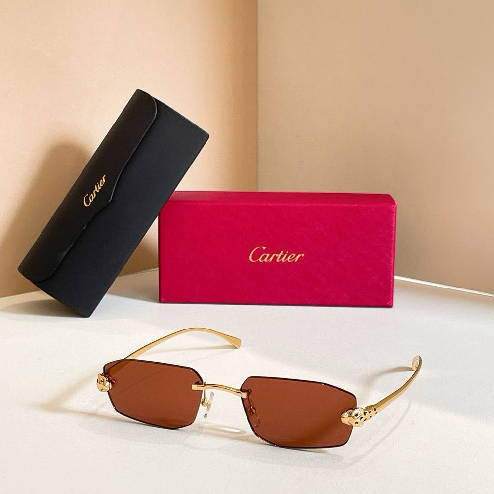 Gafas Cartier 221