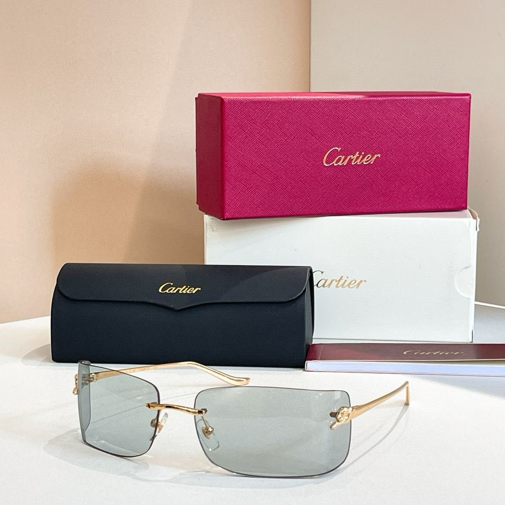 Gafas Cartier 289